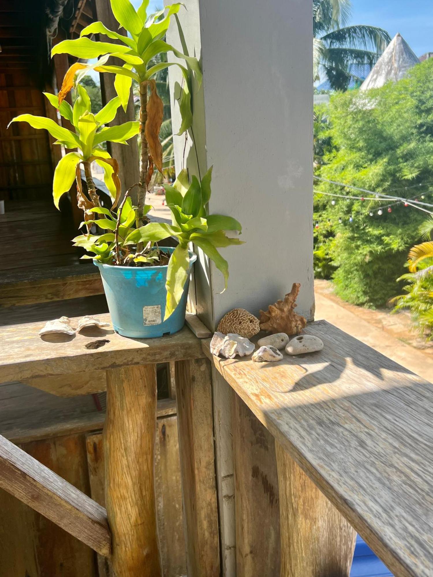 Ing Ing Guesthouse Koh Rong Sanloem Εξωτερικό φωτογραφία